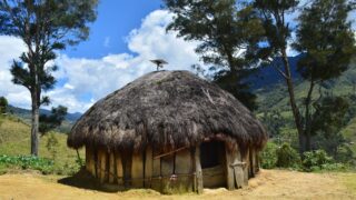 Rumah Adat Honai Papua